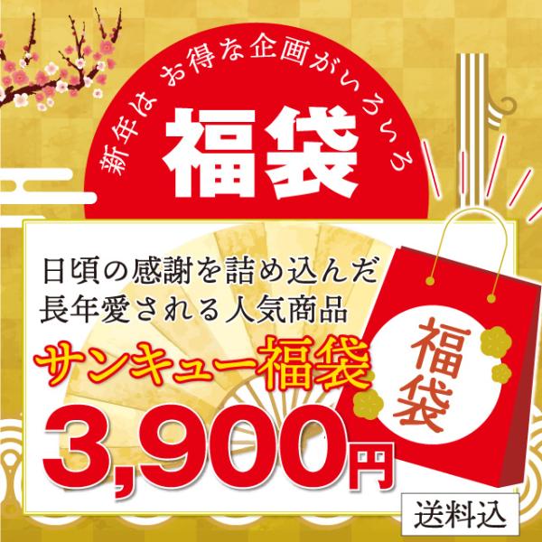 初売 福袋 新年 2026年福袋「サンキュー袋」越前そばの里がぎっしり詰まった毎年完売の人気商品