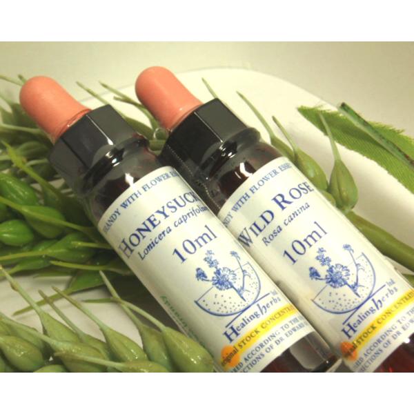 [UZ001]ヒーリングハーブス（全38種） フラワーエッセンス[RPT]