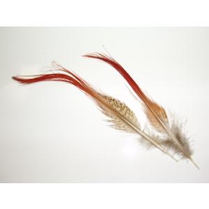 [BE008]MIYUKI 鳥の羽根パーツ（フェザー）（2枚入り）[RPT]