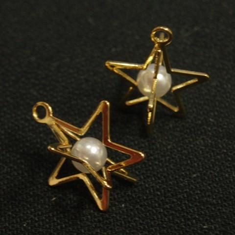 [CG005]カゴパール星（中） チャーム（CA17509） 4ケ[RPT]