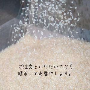 天日干しはさ掛け米(令和5年産) 白米3Kgク...の詳細画像3