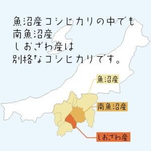 天日干しはさ掛け米(令和5年産) 白米3Kgク...の詳細画像1
