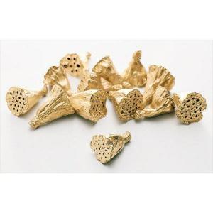 大地農園 EARTH MATTERSミニハス・約...の商品画像