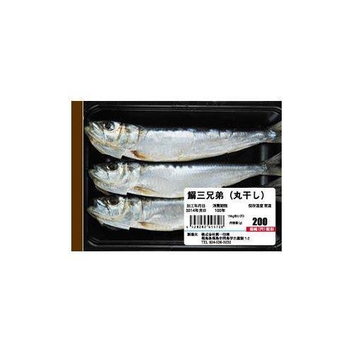 第一印刷 メモ帳 いわし 日本製 (55-04824-013)