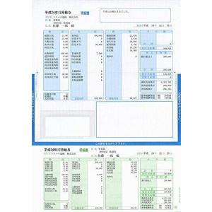 ソリマチ 給与・賞与明細書(封筒型・シール付き)200枚入(SR232)の商品画像