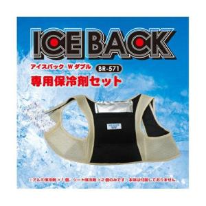 ブレイン アイスバック W(ダブル)専用保冷剤セット BR-571 1セット｜ecj