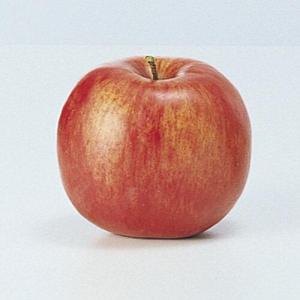 アスカ (Aska) Aー20400 フジリンゴ#002 レッド 野菜 くだもの 林檎 りんご (72-20400-2)の商品画像