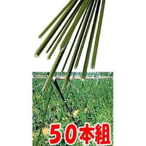 イボ竹の商品画像