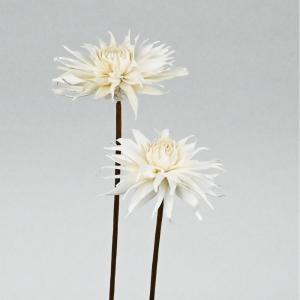 アプラス ソラフラワー ステム DAHLIA A ナチュラルタイプ (Z-0279)