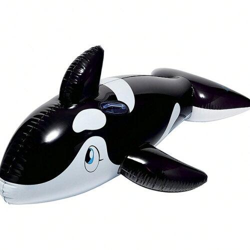 イガラシ リアルな海の人気者フロート シャチフロート(クリアブラック) (FRB-184V) 入数:...