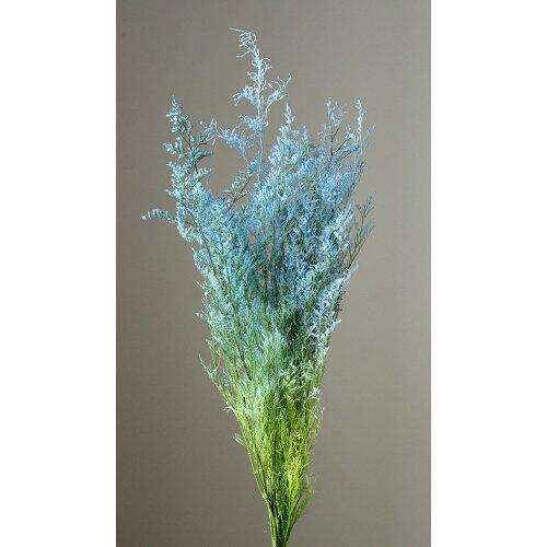 大地農園 プリザーブドフラワー 2025年新商品 カスピア ヤク27g ブルー/グリーン (76-3...