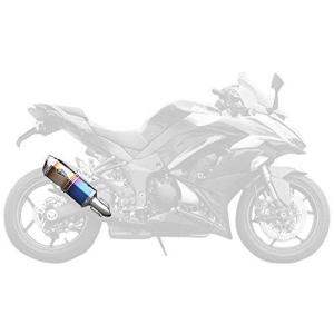 アールズギア 17NINJA1000 ワイバン S/O DB (RK30-03SD)の商品画像