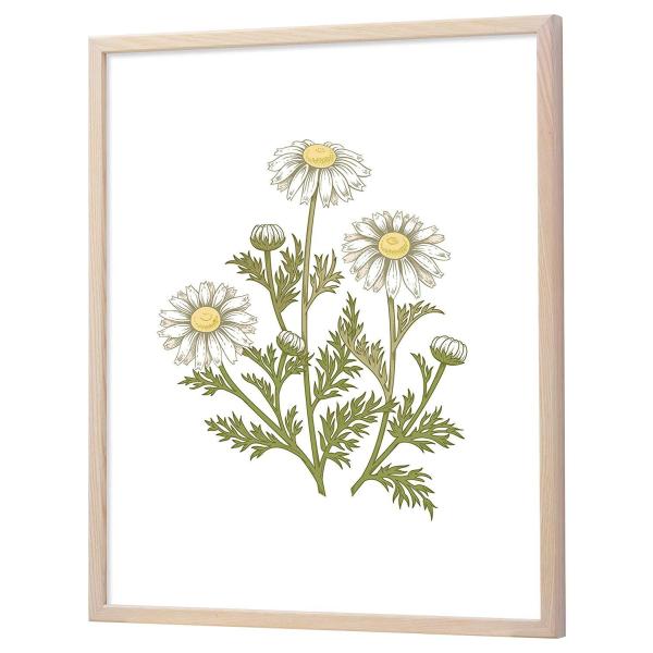 ラーソン・ジュール・ニッポン D816ナチュラル 半切 アクリル D816306 (1307554)