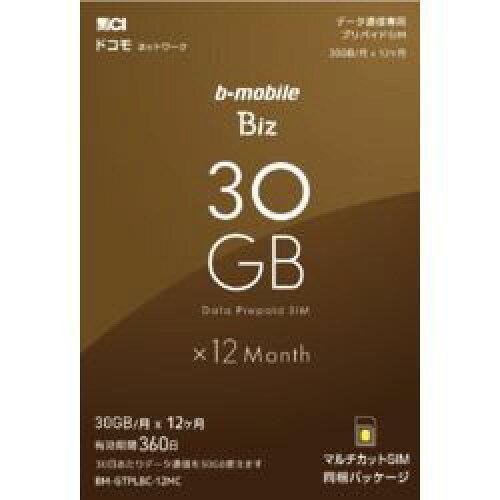 日本通信 b-mobile Biz SIMパッケージ(DC/マルチ)(BM-GTPLBC-12MC)