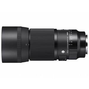 シグマ SIGMA シグマ 70mm F2.8 DG MACRO Art ソニーE Art（シグマ