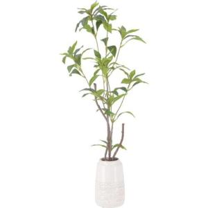 不二貿易 フェイクグリーン ギンモクセイ セラミックポット FB-3091648 グリーン 品番:41133