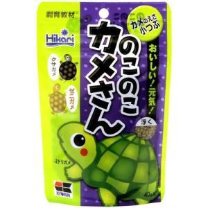 キョーリン のこのこカメさん 40g　単品
