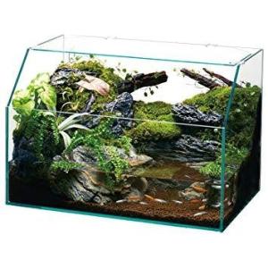 J ジェックス グラステリア アクアテラ スリム450 テラリウム向け水槽 Scb 通販 Yahoo ショッピング