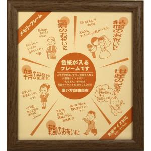 イワタ 額縁 色紙額 木製 オーク MC-23SPN-L