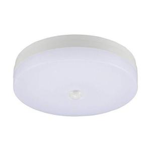 オーム電機 人感・明暗センサー付 LEDミニシーリングライト(60W相当/844lm/昼光色) LT-YD07A9/S