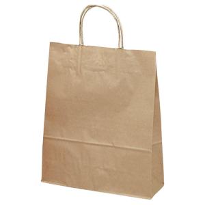 ササガワ(Sasagawa) タカ印 ギフトバッグ 50-6101 手提げ 未晒無地 小 10枚