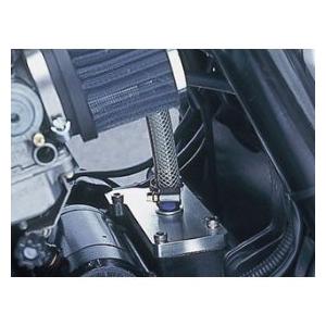 POSH Faith ポッシュフェイス ZRX1100/1200 GPZ900 ブリ-ザ-プレ-ト　...