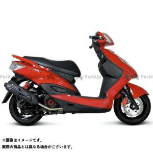 SP武川 サイレントスポーツマフラー(キャタライザー付) シグナスX/SR:EBJ-SE44J(28S1〜S9/1YP1〜P5) 品番:04-02-0048