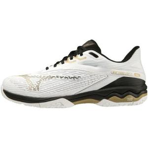 MIZUNO ミズノ 61GB231909235 61GB2319 サイズ:2 色:09の商品画像