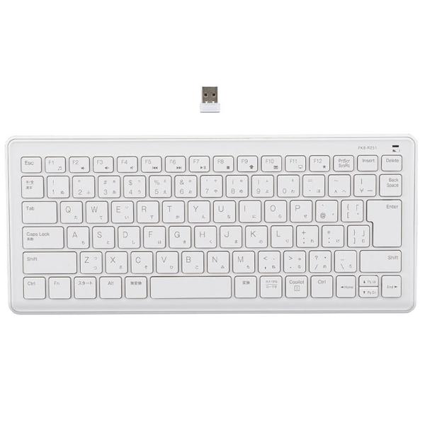 ナカバヤシ FKB-R251W