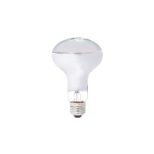 Panasonic（パナソニック） レフ電球 100W形 RF100V90WD