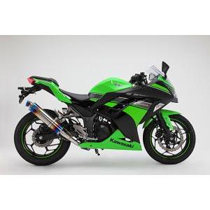ツルノテクニカルサービス NINJA250 NINJA250R デュアルレーシング