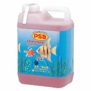 サンミューズ PSB 2.1L (-)