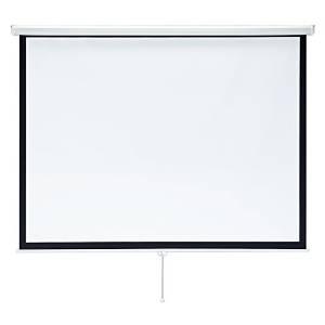 SANWASUPPLY サンワサプライ プロジェクタースクリーン(吊り下げ式) 85型 PRS-TS...