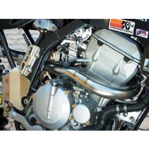 ラフアンドロードスポーツ ＲＳＶコンペティションＥＸ　ＫＬＸ２５０／Ｄトラ（０１〜）　ＲＳＶ８４０２