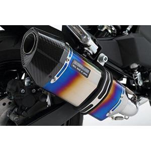 BEAMS（ビームス） バイク用 マフラー Z125 PRO 2BJ - BR125H フルエキ