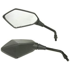 スペシャルパーツ武川 ポリゴンミラーセット M10正ネジ左右 (06-01-1130)