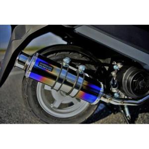 BEAMS（ビームス） ADDRESS 125(2BJ-DT11A) マフラー SS300 SP