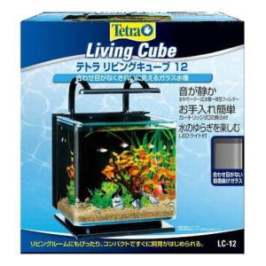 小型 オールインワン スマート水槽 多機能水槽☆FiSH-α2 IOT 6.9L