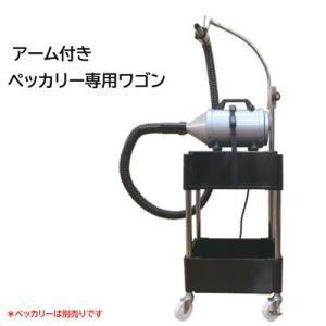 ワンクスクリエイション Hugup 耳毛切りハサミ : ズンズンペット