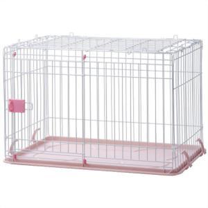 ペット健康製薬コーポレーション(IINA) イイナ (IINA) ドッグルーム