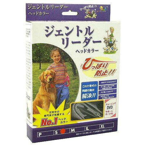 スターフォームエンジニアリング ジェントルリーダーシステム シルバーS