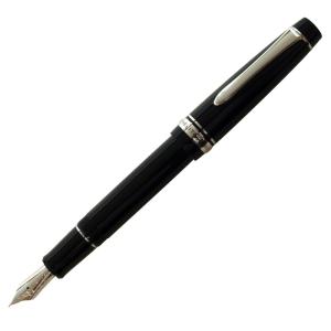 PILOT（パイロット） 【在庫品】パイロット万年筆 カスタム742