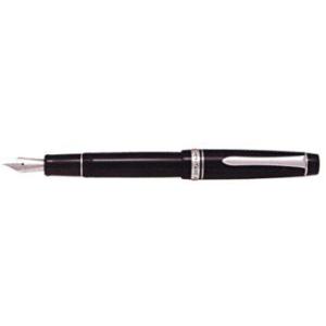 パイロット 万年筆 エラボー 細字・軟 ブラック FE-18SR-B-SF 美品 PILOT（パイロット） FE-18SR-B-SF 万年筆 エラボー 樹脂軸 ブラック
