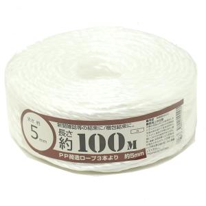 紺屋商事 PP荷造りヨリロープ白5MMX100M