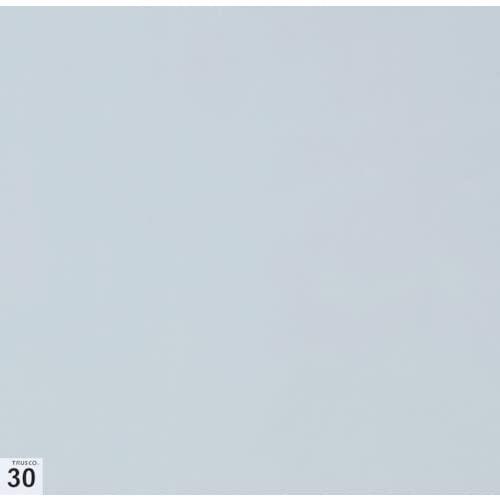 TRUSCO トラスコ中山 まとめ買い エアーシャワー用粘着シート(穴なし) 300X300 30枚...