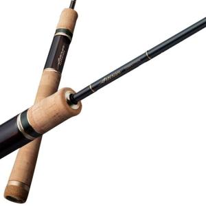 EverGreen（エバーグリーン） アルチザン AATS-61L/RF (トラウトロッド