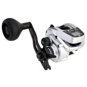 DAIWA（ダイワ） ベイトリール フネ X 100H 右ハンドル : ナチュラム
