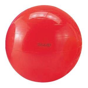 ポンプ付) ギムニク (GYMNIC) PLUS (プラス) 55 赤 レッド LP9528