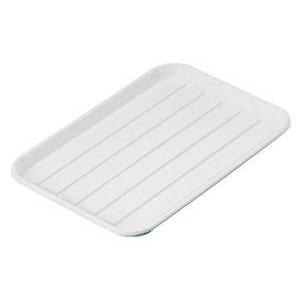 TKG テイケイジイ 遠藤商事 ＡＢＳ　パイレス　　　大 ホワイト API041