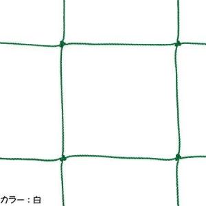 Toei 無料 Light ジュニアサッカーゴールネット B 3297